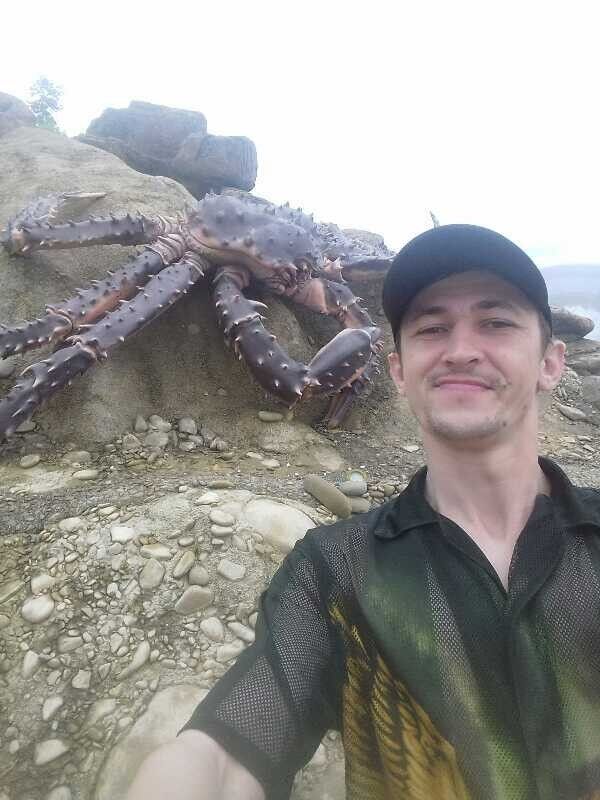 ���� 17061460 ������� ������, 40 ���, ���� ���������� � ������������