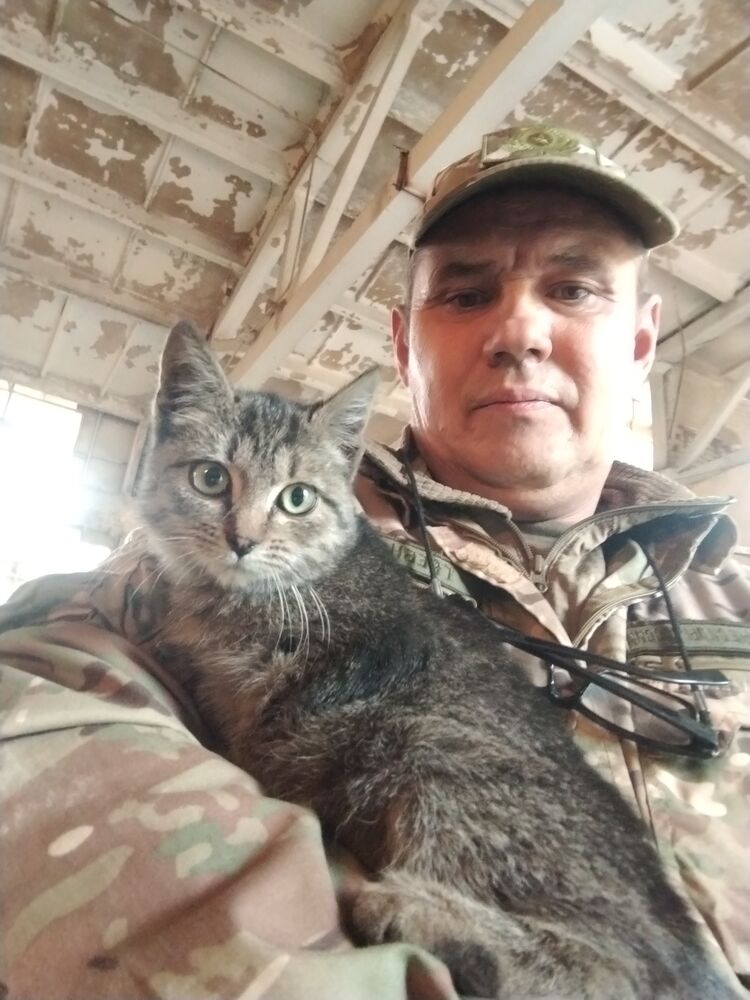 ���� 56261650 ������� �����, 46 ���, ���� ���������� � �������������