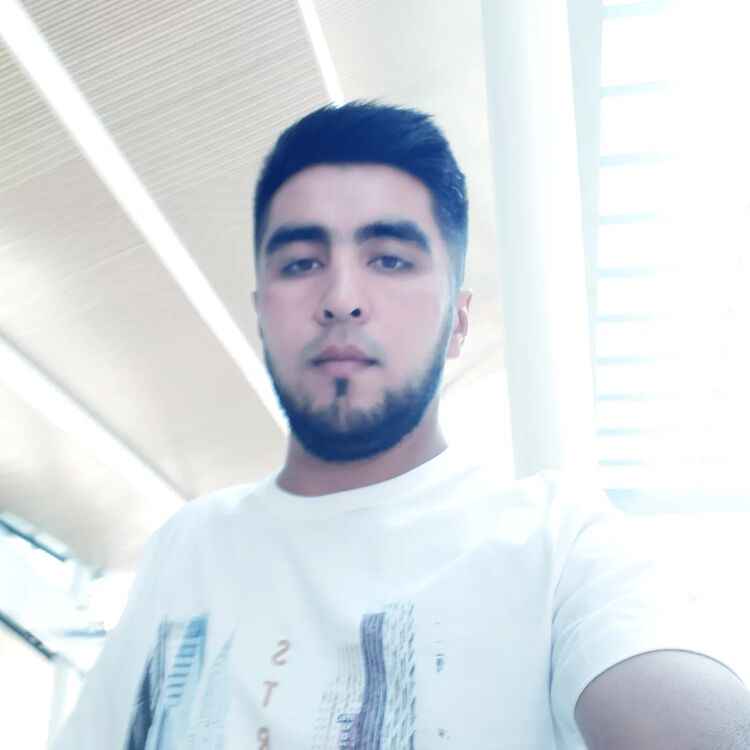  --,   , 38 ,   ,   