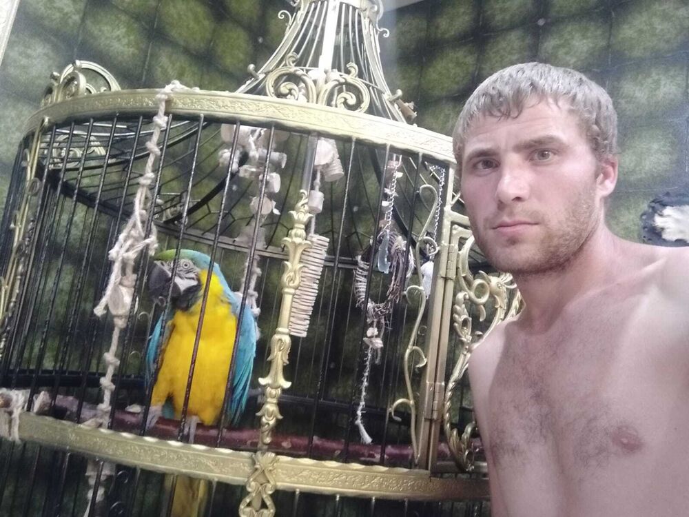 ���������� ���������, ���� ������� ����, 36 ���, ������������ ��� ������, ����� � ���������