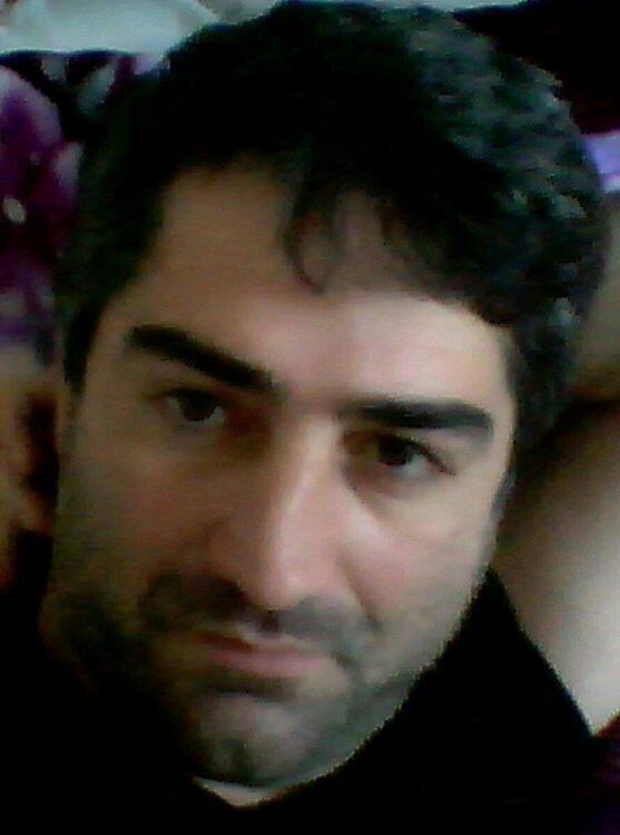  38279340  , 50 ,    