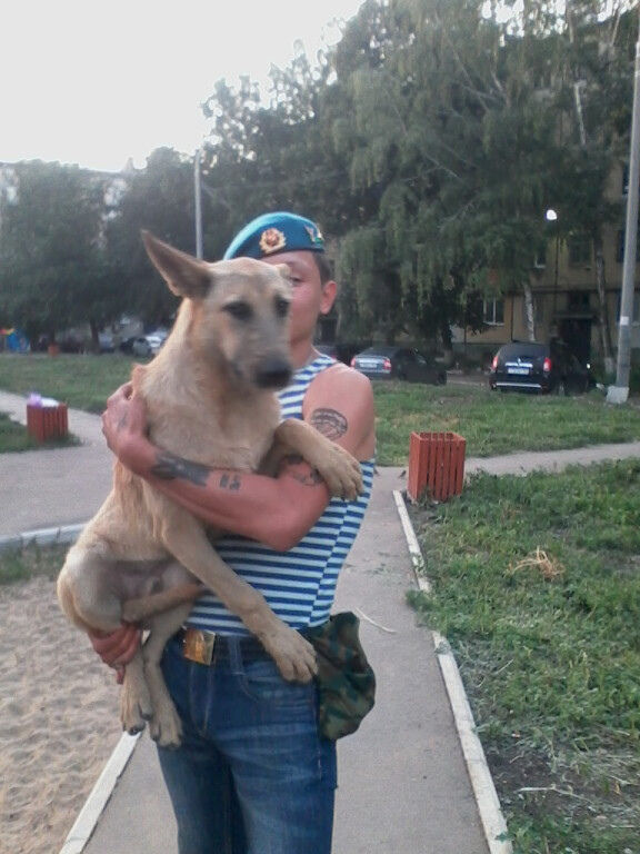 ���������� ������, ���� ������� �������, 33 ����, ������������ ��� ������, ����� � ���������, c�������� ���������