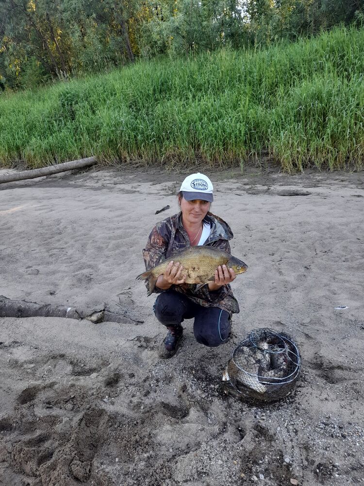  ,   , 51 ,   ,   , 