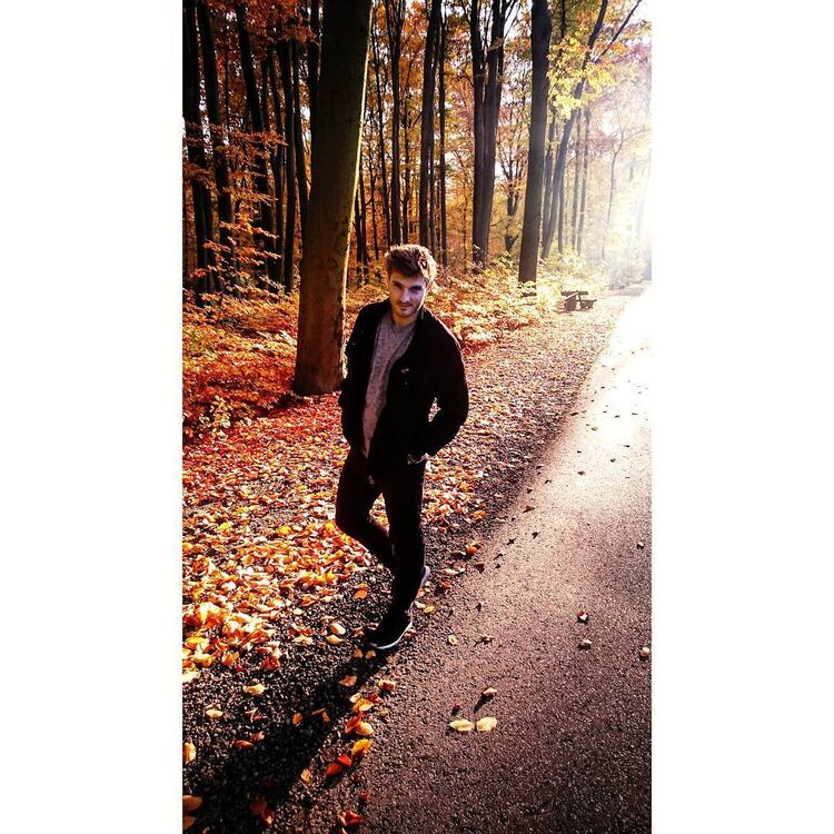 ���������� ���������, ���� ������� ������, 38 ���, ������������ ��� c�������� ���������