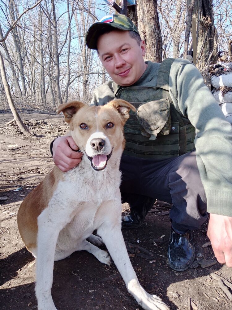 ���� 41104490 ������� �������, 33 ����, ���� ���������� � ������