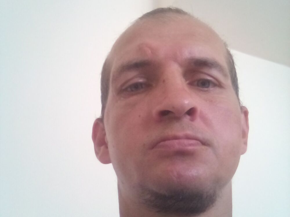  -,   , 41 ,   ,   , c 