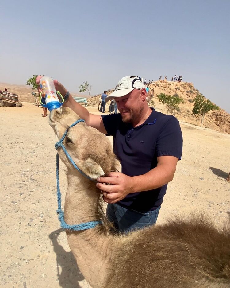 ���������� �����-���������, ���� ������� ����, 43 ����, ������������ ��� ������, ����� � ���������, c�������� ���������, ���������