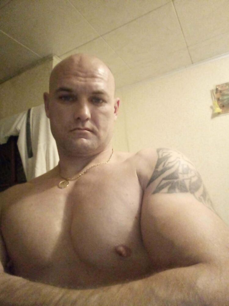  41767710  , 41 ,    