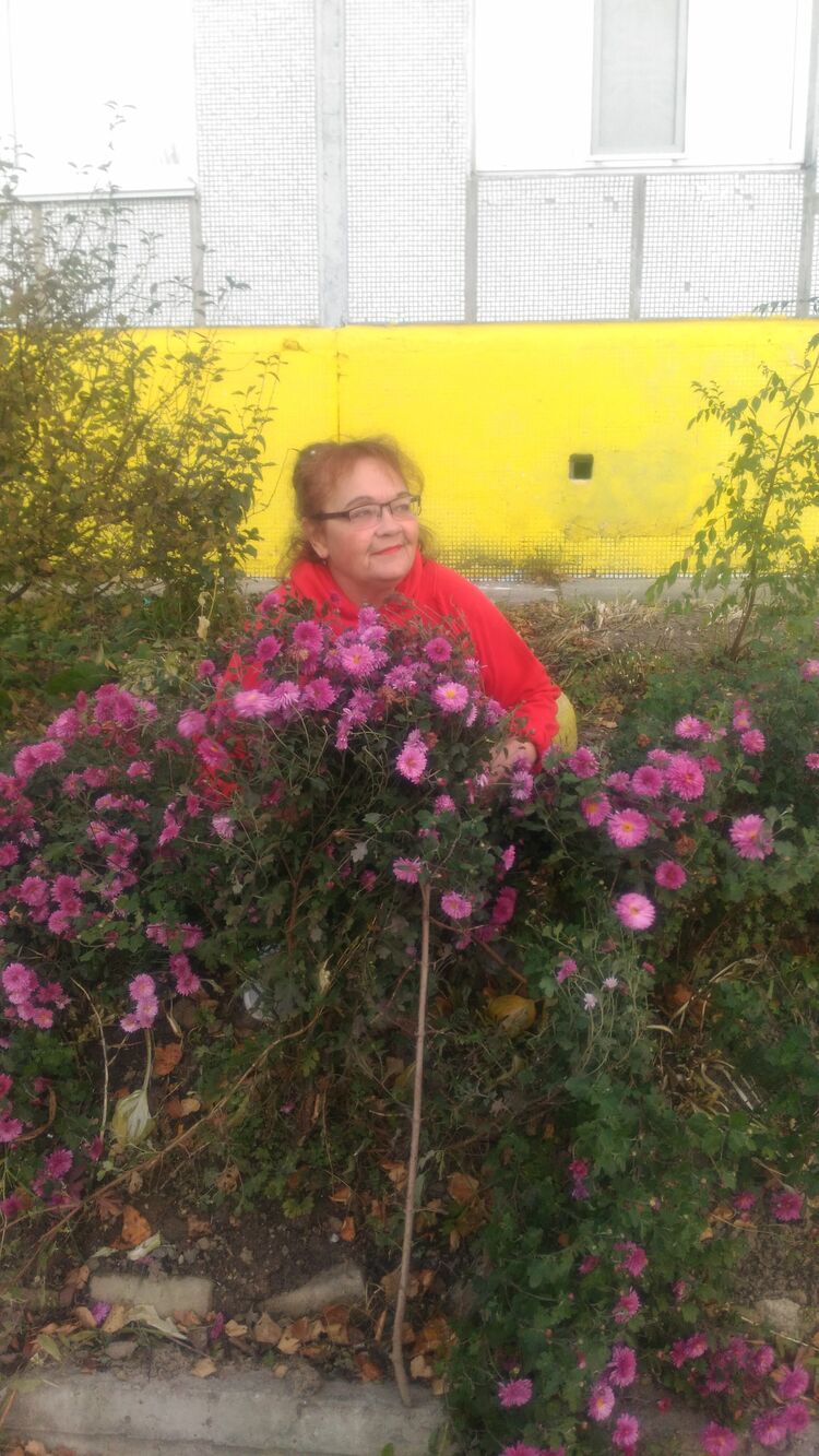 ���� 55256180 ������� �������, 70 ���, ���� ���������� � �������-�������