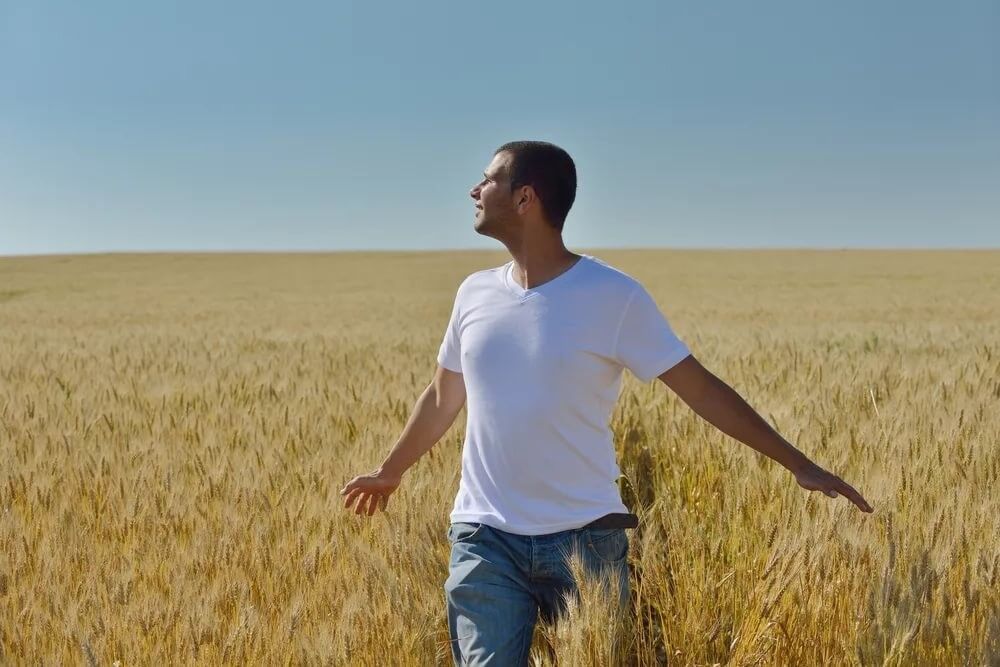 Молодые люди в поле. Парень в поле. Мужчина в пшеничном поле. Мужская фотосессия в поле. Молодой человек в поле.