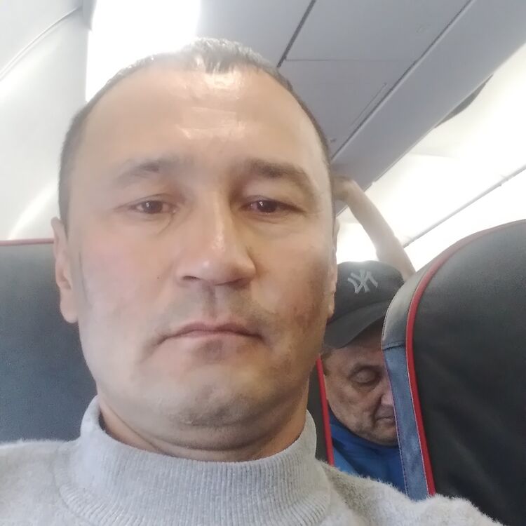 ���� 35178430 ������� ��������, 43 ����, ���� ���������� � ���������