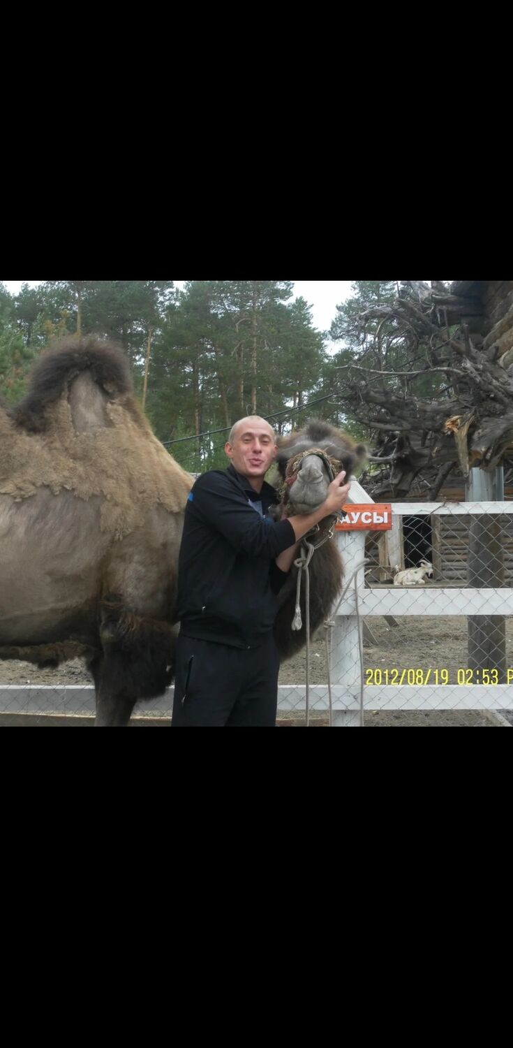 ���������� ������, ���� ������� ������, 39 ���, ������������ ��� ������, ����� � ���������, c�������� ���������, ���������