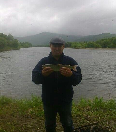  ,   , 55 ,   