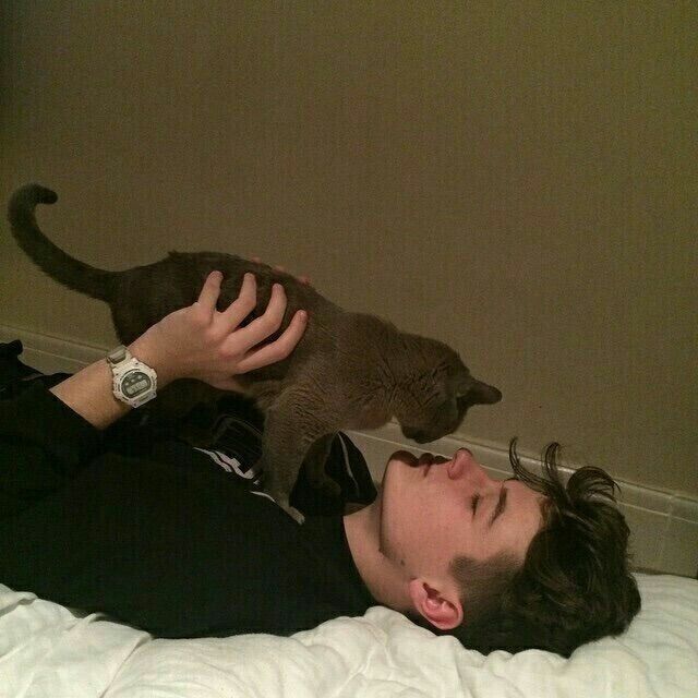 ���� 22195200 ����� ����, 24 ����, ���� ���������� � ������