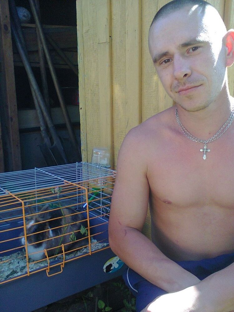 ���������� �������, ���� ������� ��������, 42 ����, ������������ ��� c�������� ���������, ���������