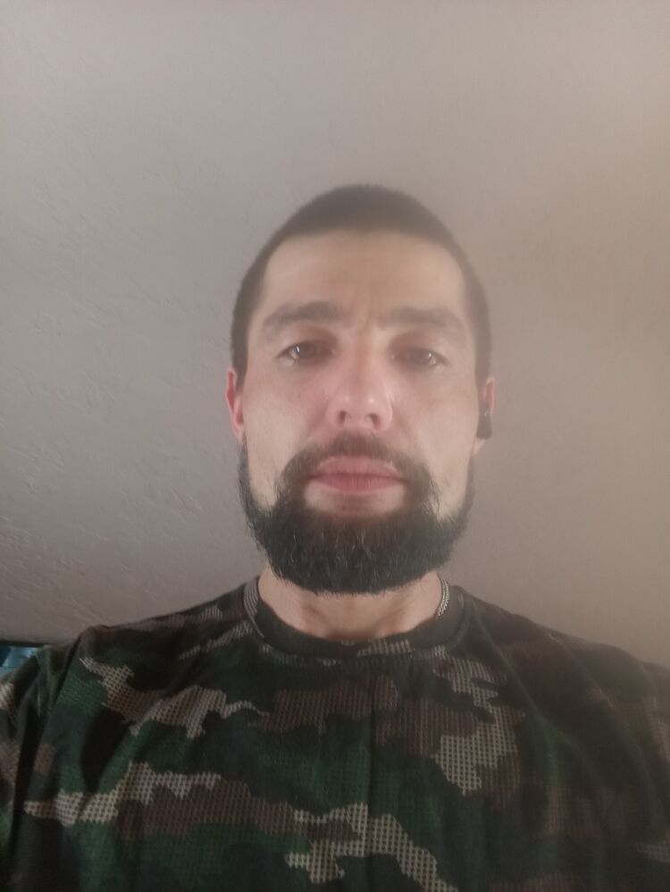  49336030  , 31 ,    -