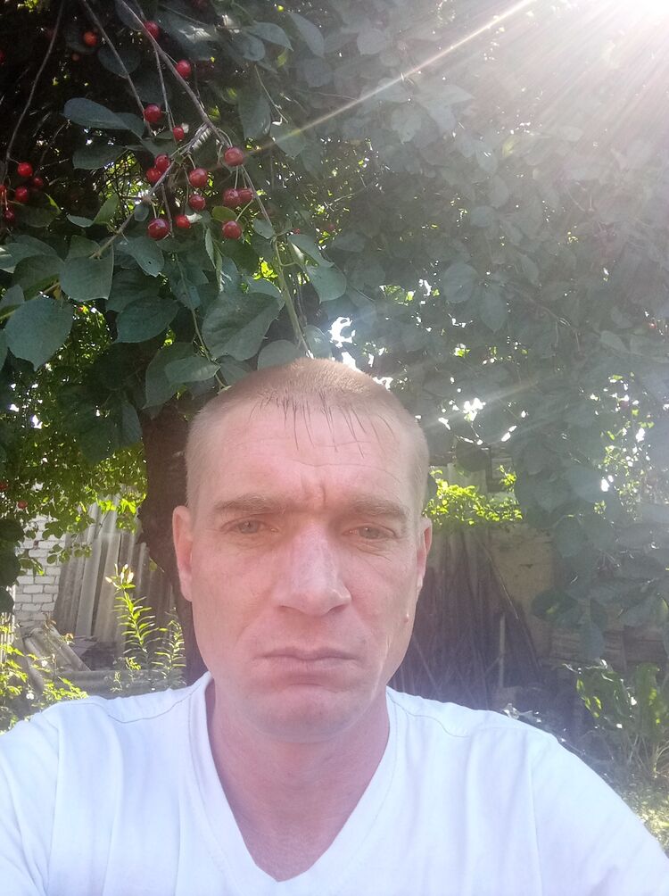  35175540  , 39 ,    