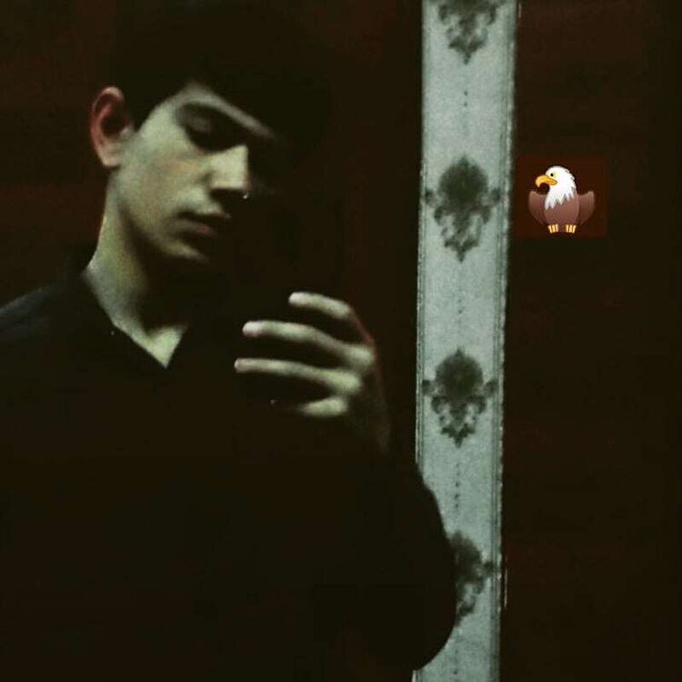 ���� 23352850 ����� ������, 23 ����, ���� ���������� � ��������