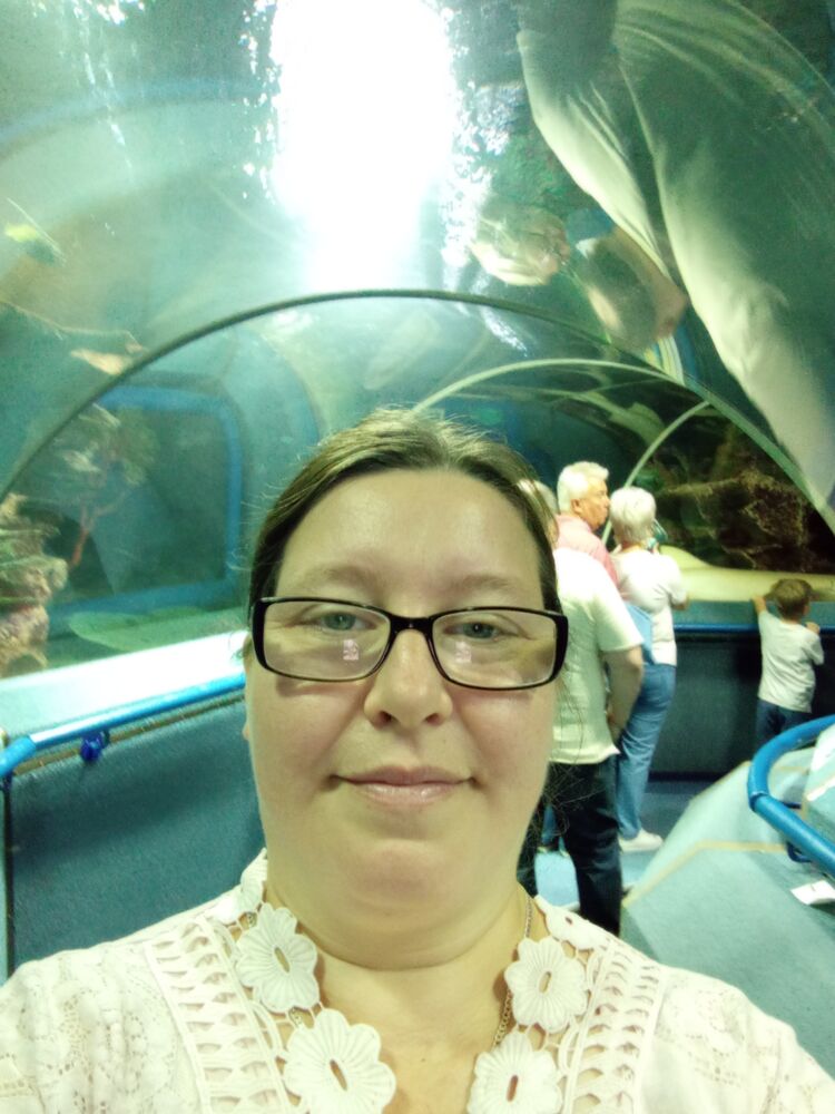  ,   , 43 ,   ,   