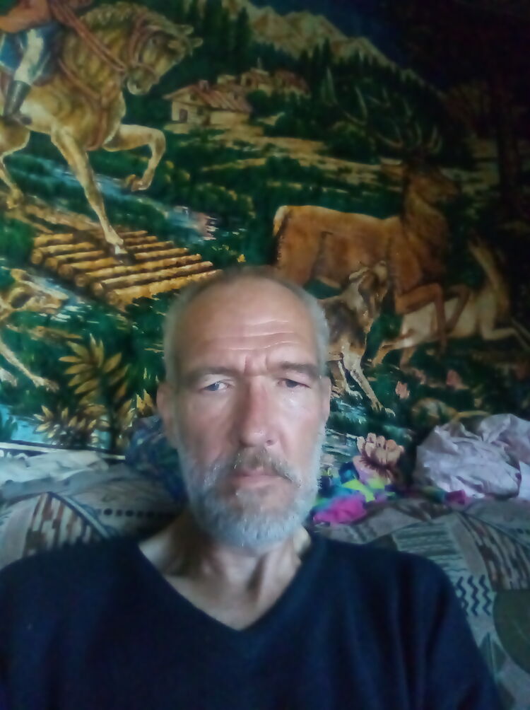  28164650  , 55 ,     