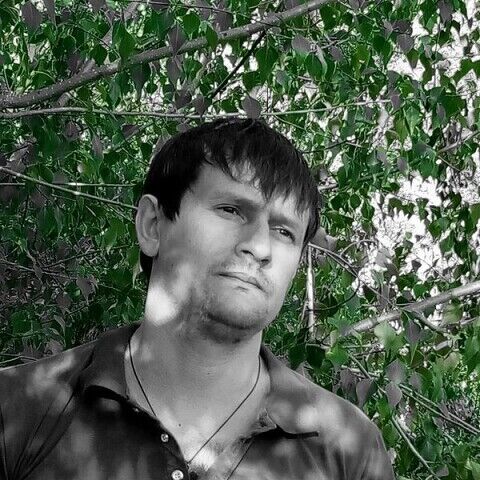 ���� 54993790 ������� Mihail, 41 ���, ���� ���������� � ���������