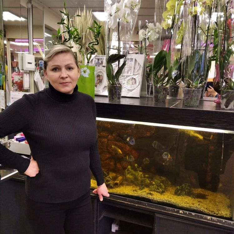  -,   , 46 ,   ,   , c 