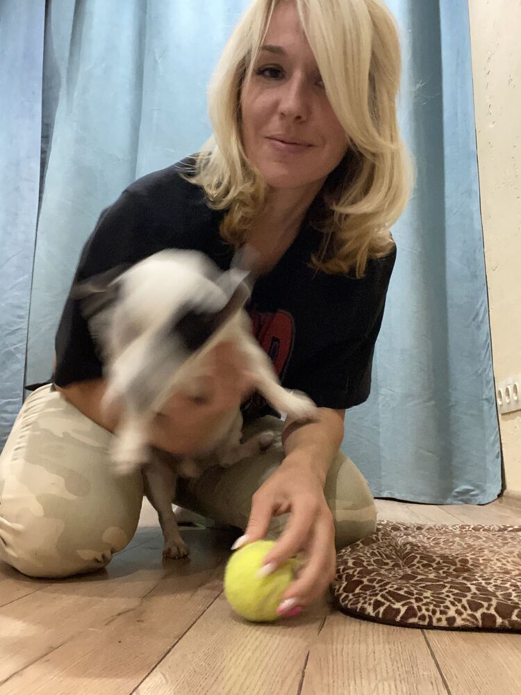 ���������� ������, ���� ������� ����, 44 ����, ������������ ��� ������, ����� � ���������, c�������� ���������