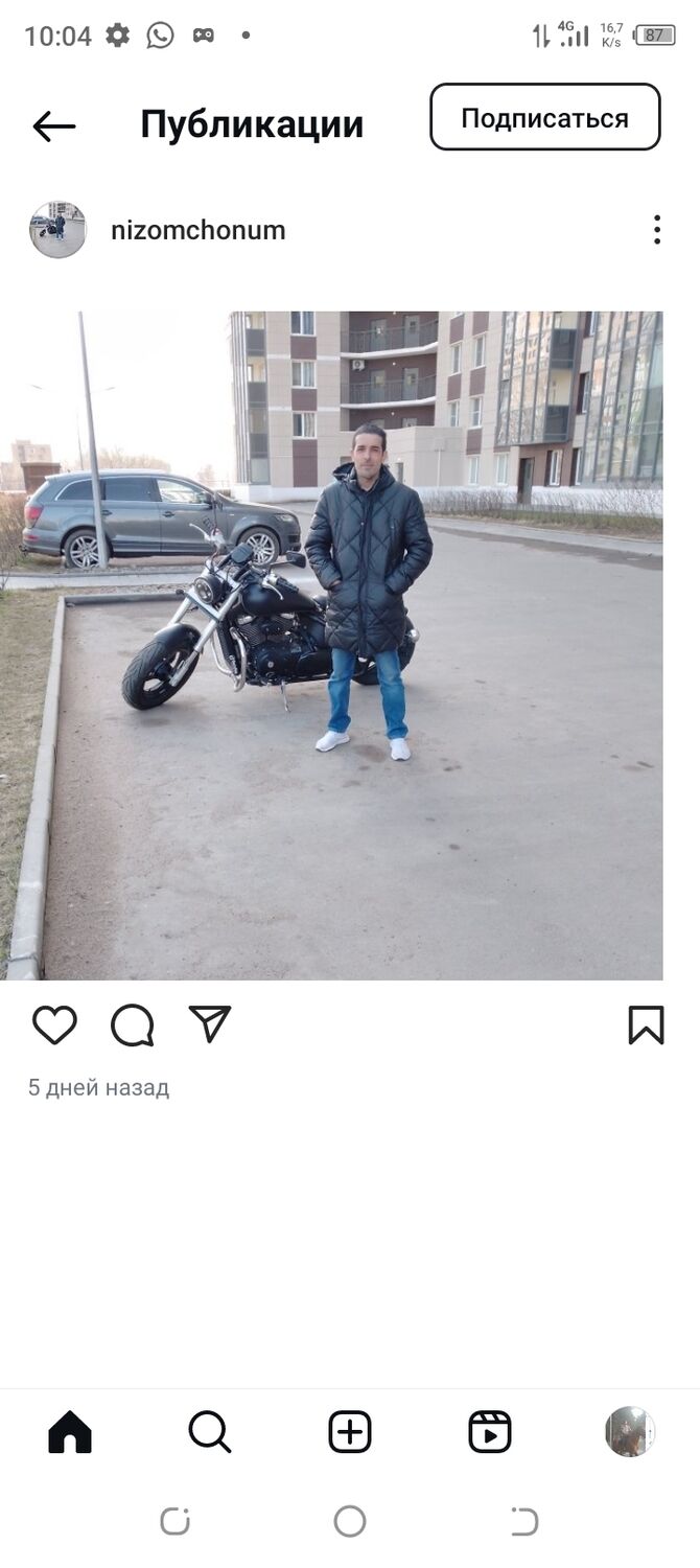  51369050  , 39 ,    