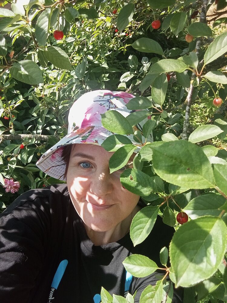  ,   , 51 ,   ,   