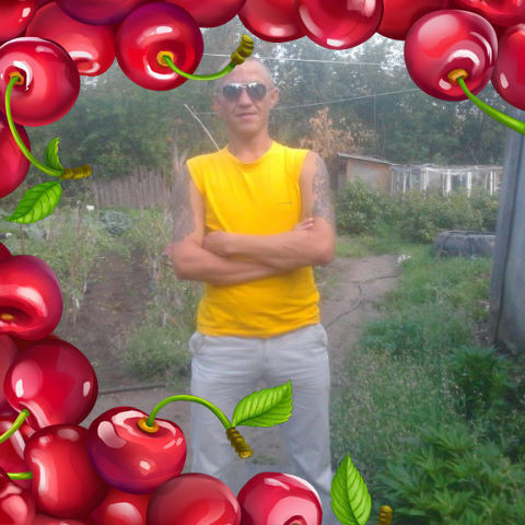 ���� 9956230 ������� ��������, 40 ���, ���� ���������� � ����������