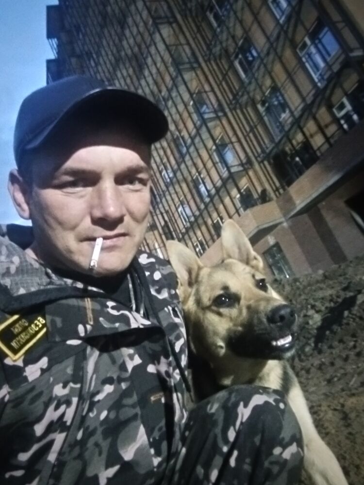  44354100  , 40 ,    -