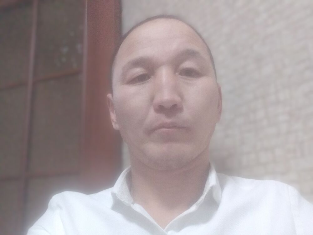  24658000  , 44 ,    
