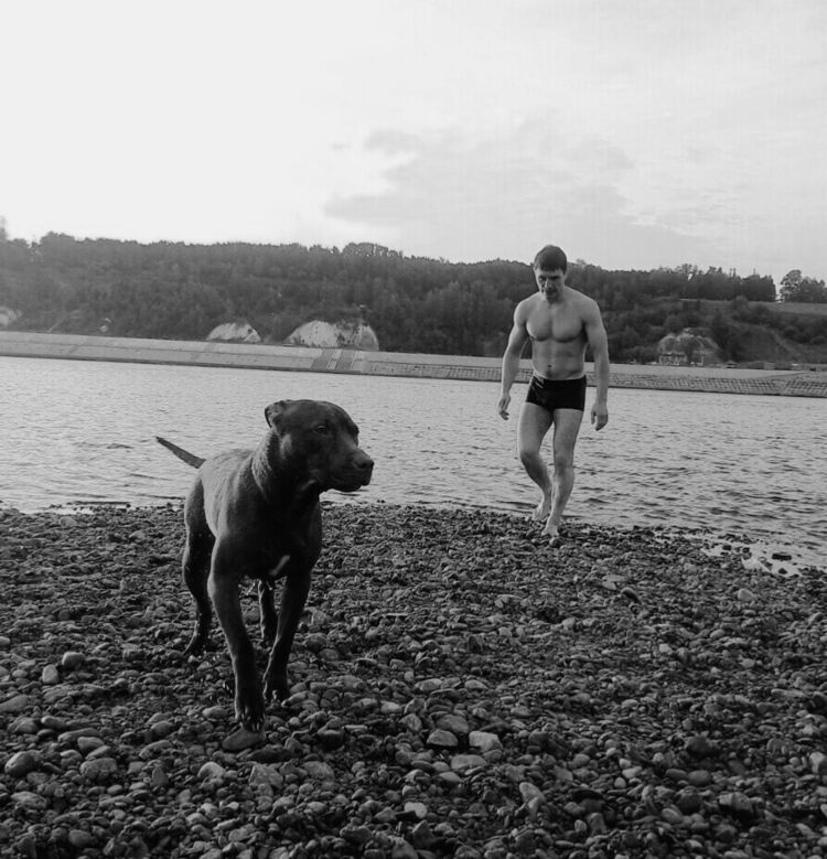 ���� 11323020 ������� �����, 42 ����, ���� ���������� � �������