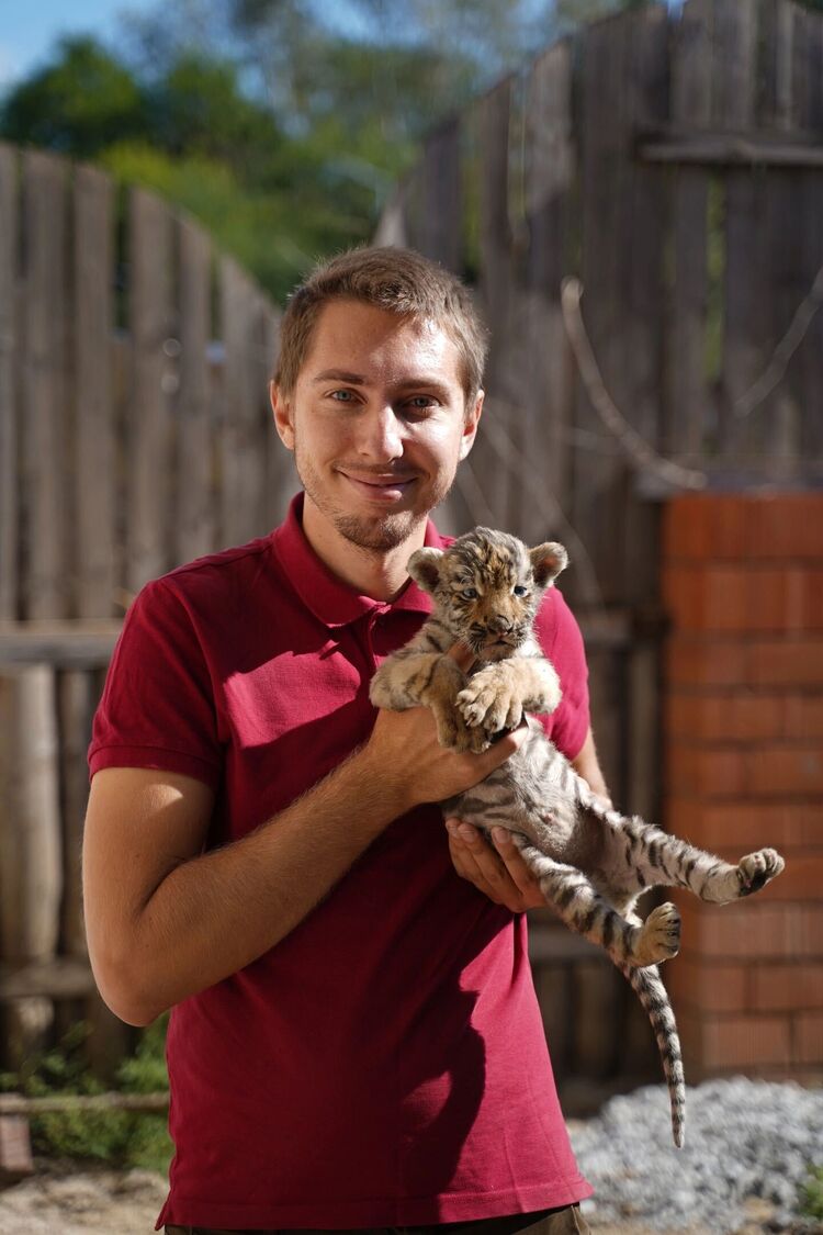 ���� 33312540 ������� �������, 31 ���, ���� ���������� � �������