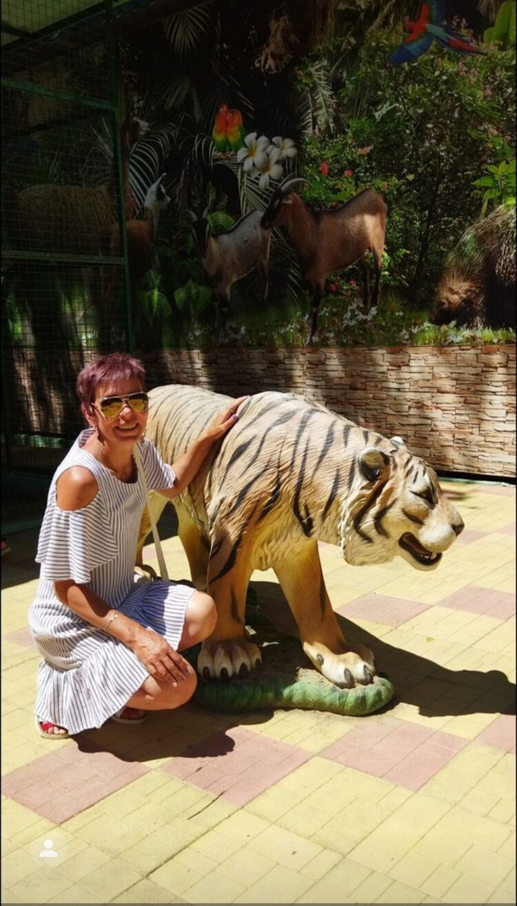  53750120  , 49 ,    -