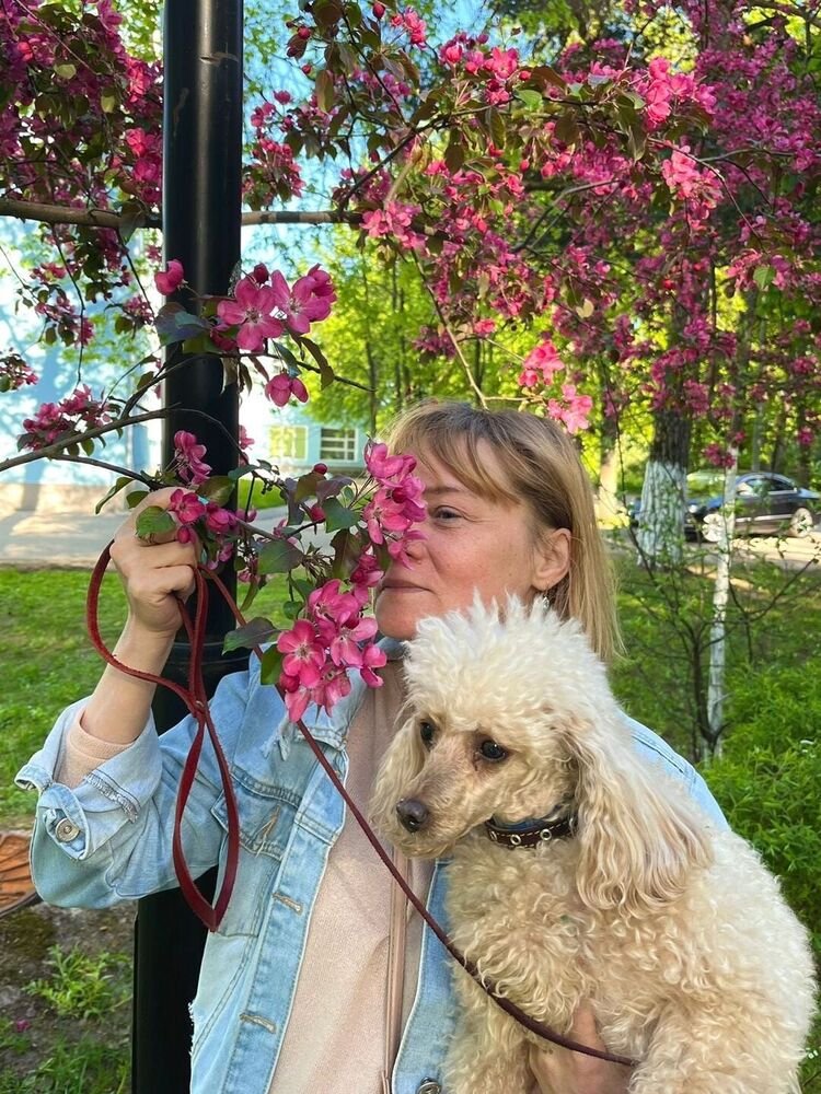 ���������� ������, ���� ������� ��������, 47 ���, ������������ ��� c�������� ���������