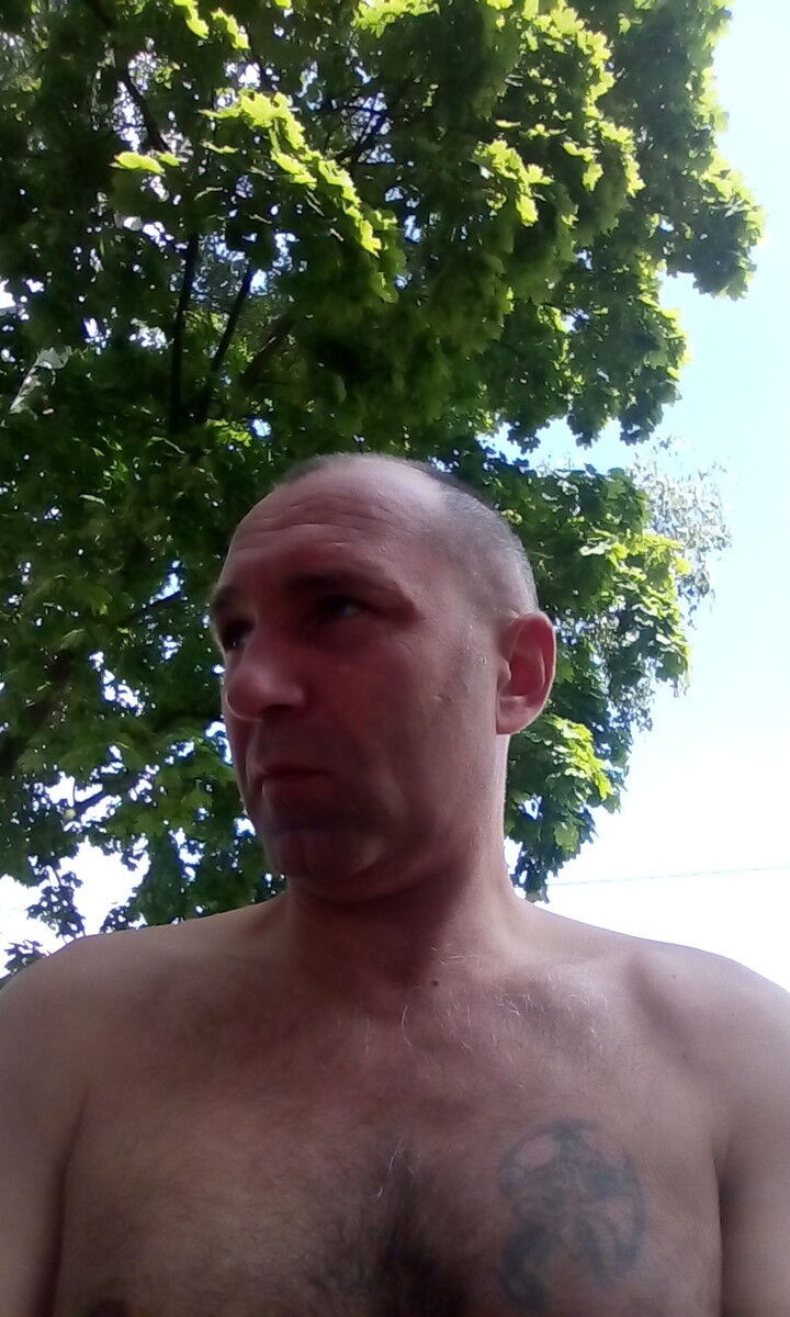  7795200  , 50 ,    