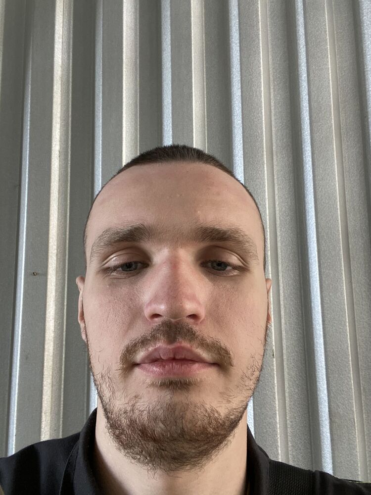  52834530  , 24 ,    