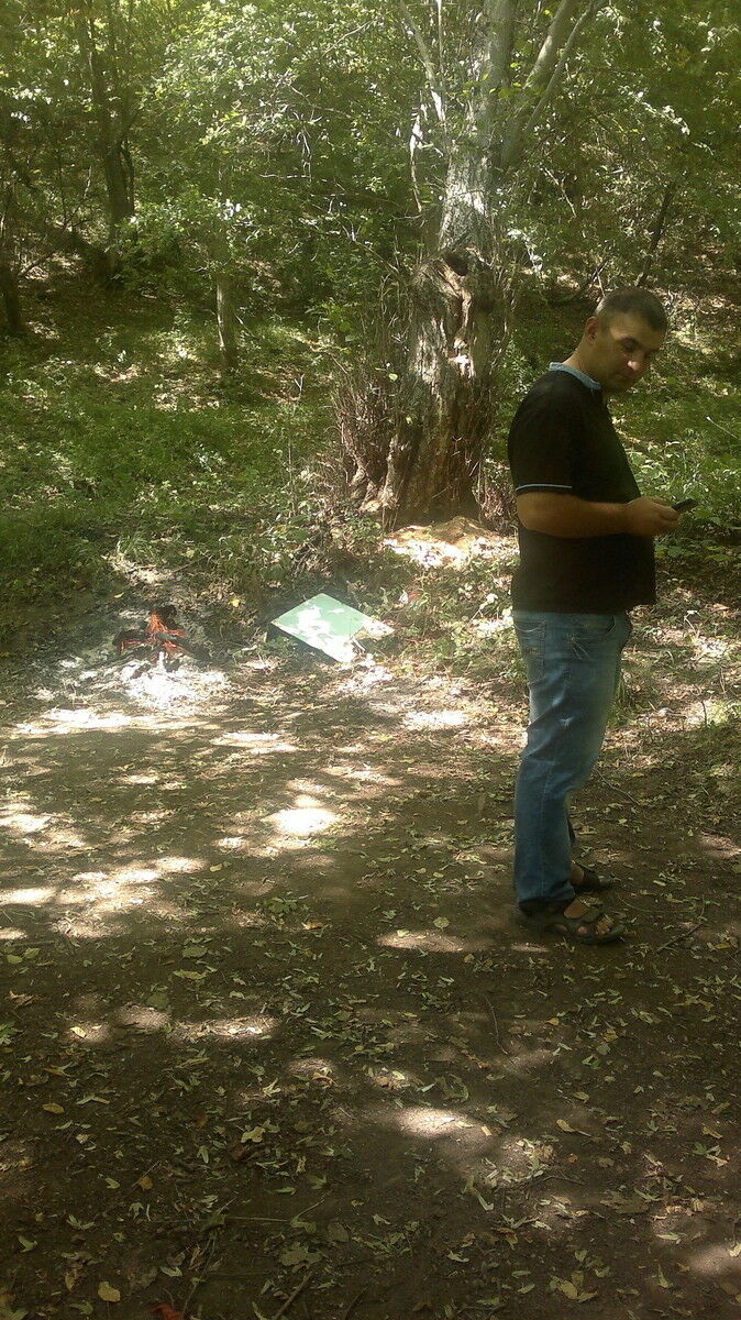 ���� 6400180 ������� Elvin, 37 ���, ���� ���������� � ����