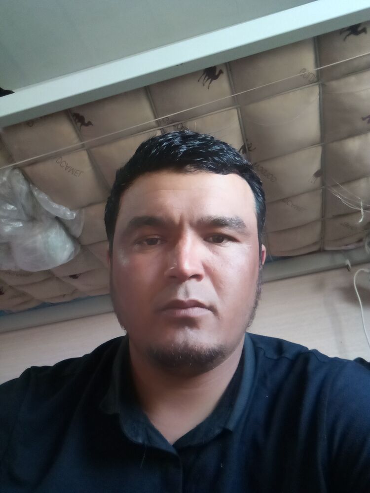  26674820  , 34 ,    