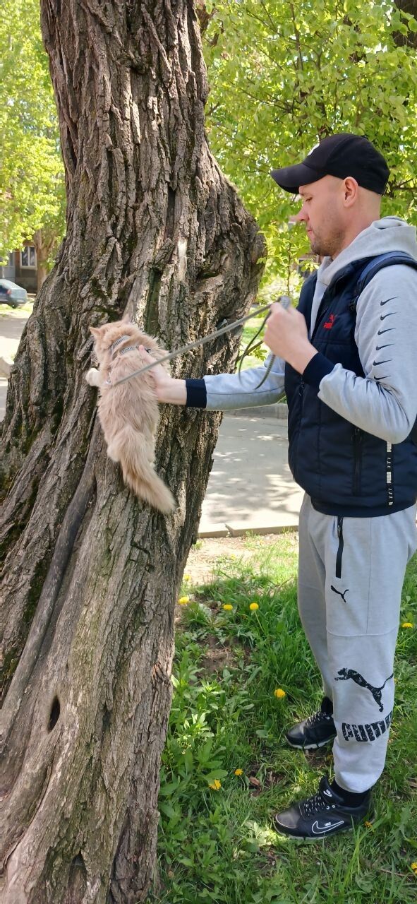 ���� 55419510 ������� ������, 43 ����, ���� ���������� � ��������