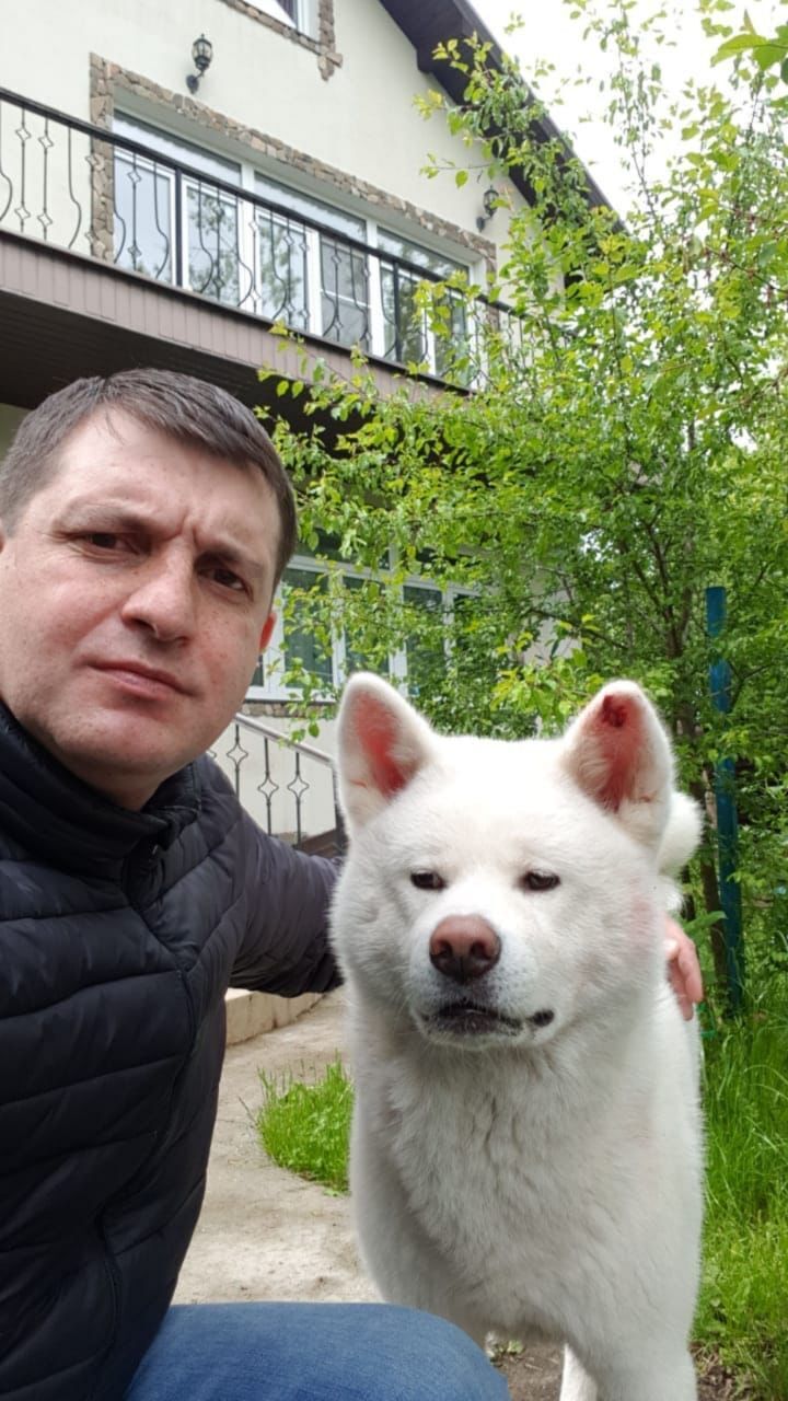 ���������� ������, ���� ������� ��������, 50 ���, ������������ ��� ������, ����� � ���������, ���������