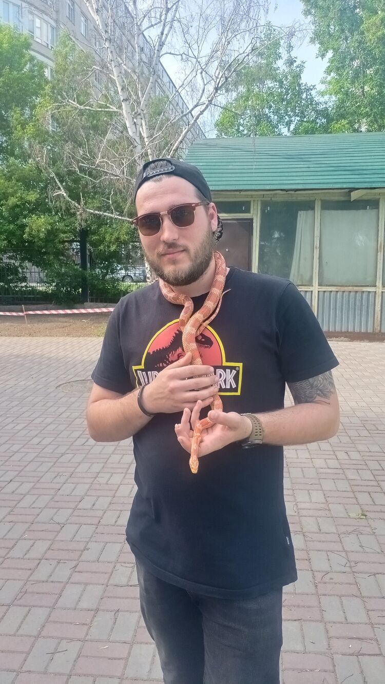 ���� 31395640 ������� ����������, 26 ���, ���� ���������� � �����