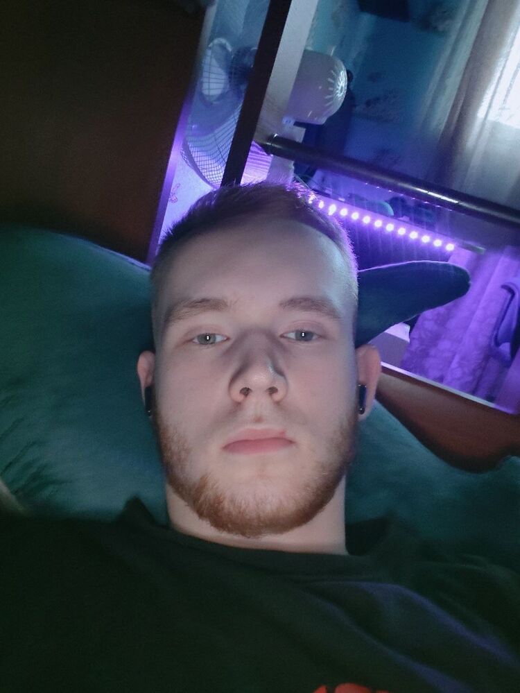  53183670  , 20 ,    -