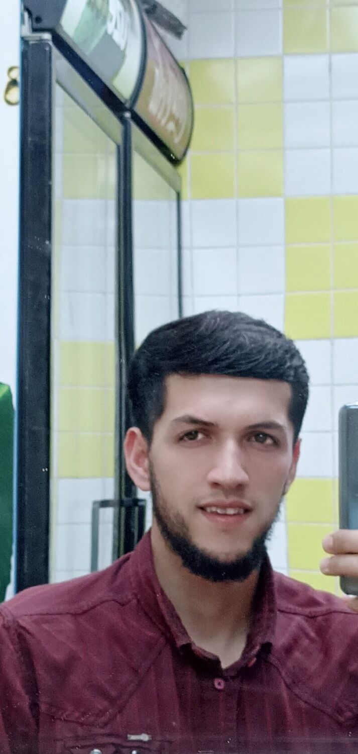  31195590  , 28 ,    