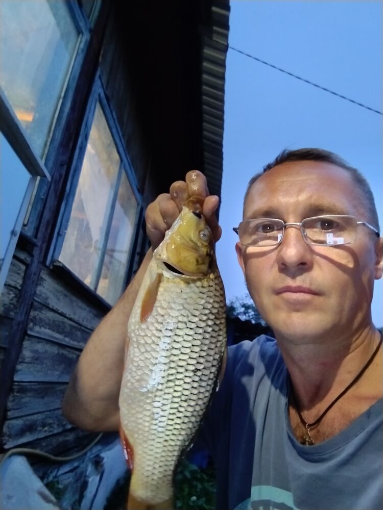  45782580  , 48 ,    