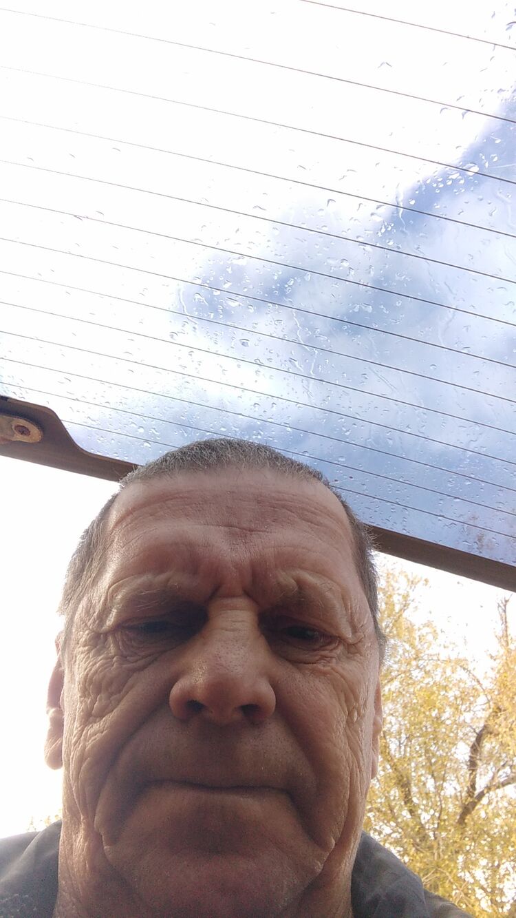 ���� 51633100 ������� ��������, 66 ���, ���� ���������� � ������������