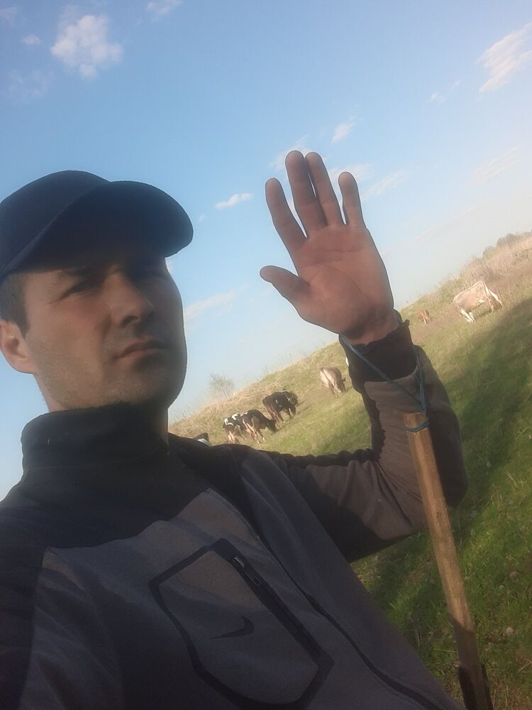 34113660   , 34 ,    