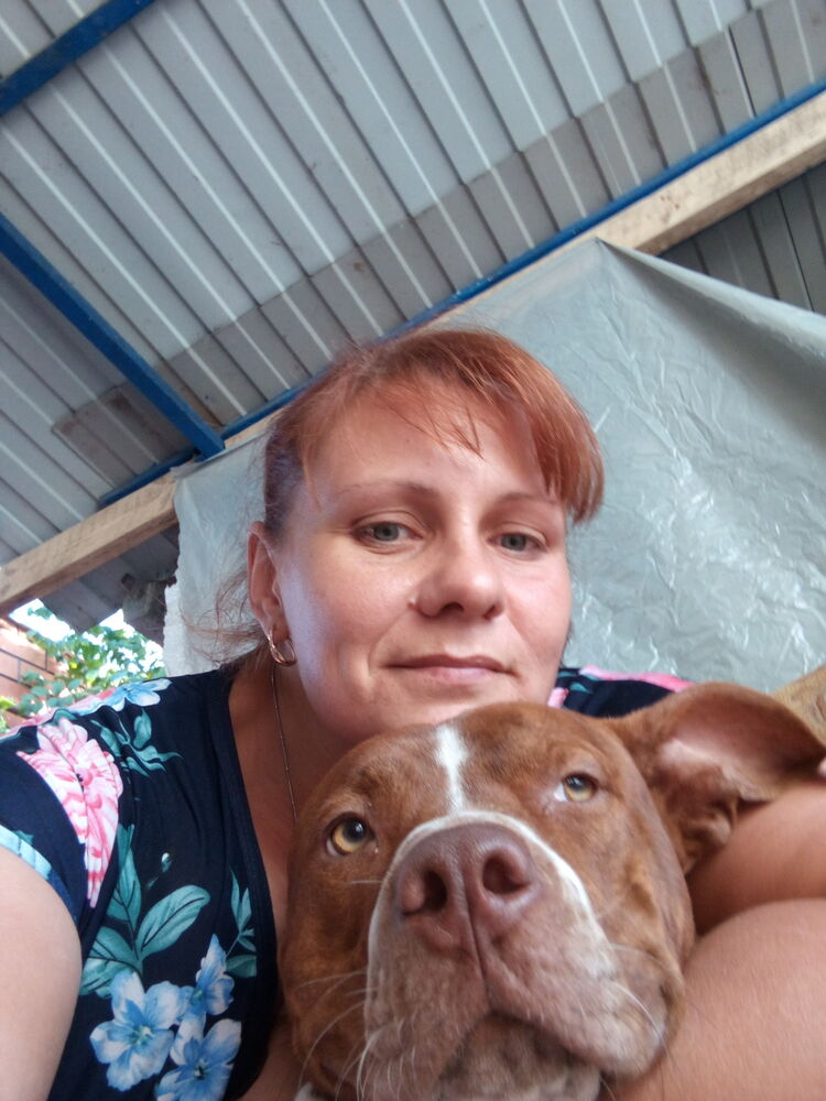 ���������� ������, ���� ������� ��������, 40 ���, ������������ ��� ����� � ���������, c�������� ���������