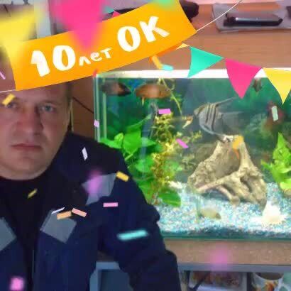 ���� 33512800 ������� �������, 47 ���, ���� ���������� � ������������